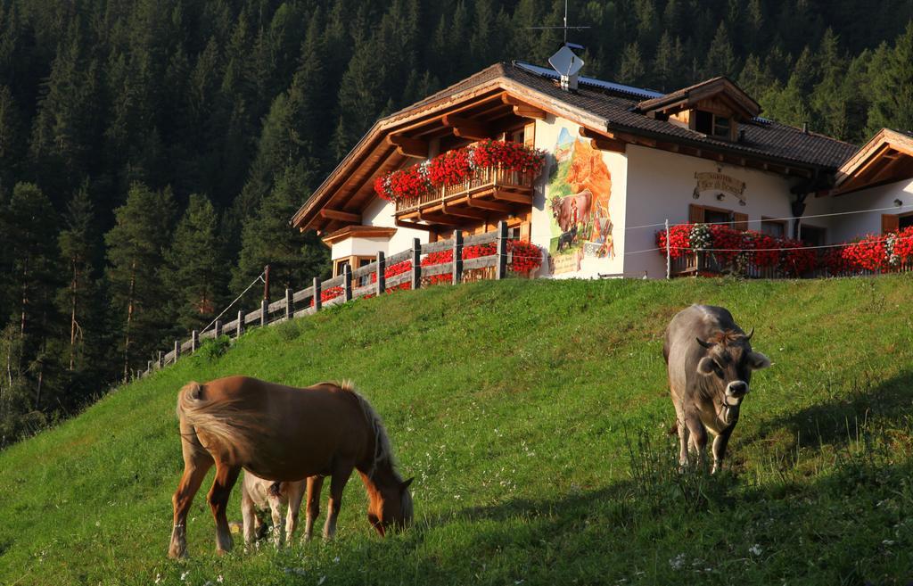 Agritur Fior Di Bosco Hotel Valfloriana Zewnętrze zdjęcie